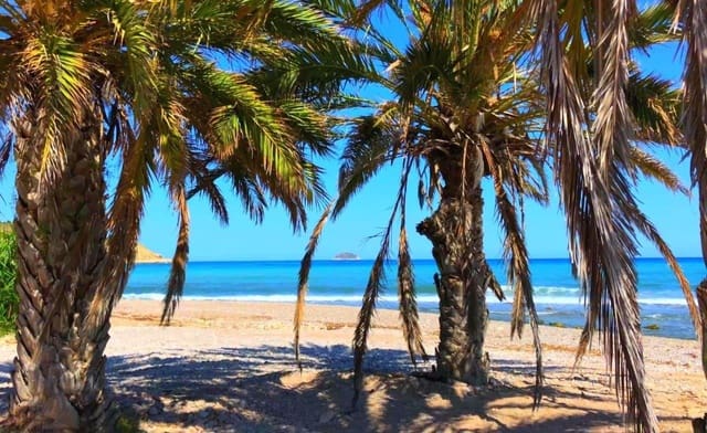 4 sypialnia Apartament na sprzedaż w Platja Vila Joiosa - Platja de Torres, La Villajoyosa / Vila Joiosa z basenem - 580 000 € (Ref: 8992570)