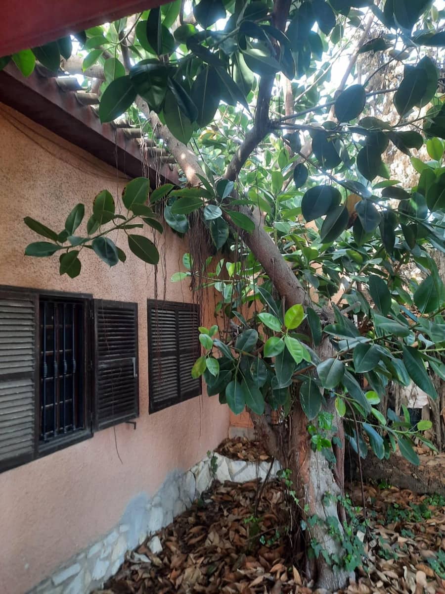 3 sypialnia Willa na sprzedaż w Miasto Alicante / Alacant z garażem - 585 000 € (Ref: 9125192)