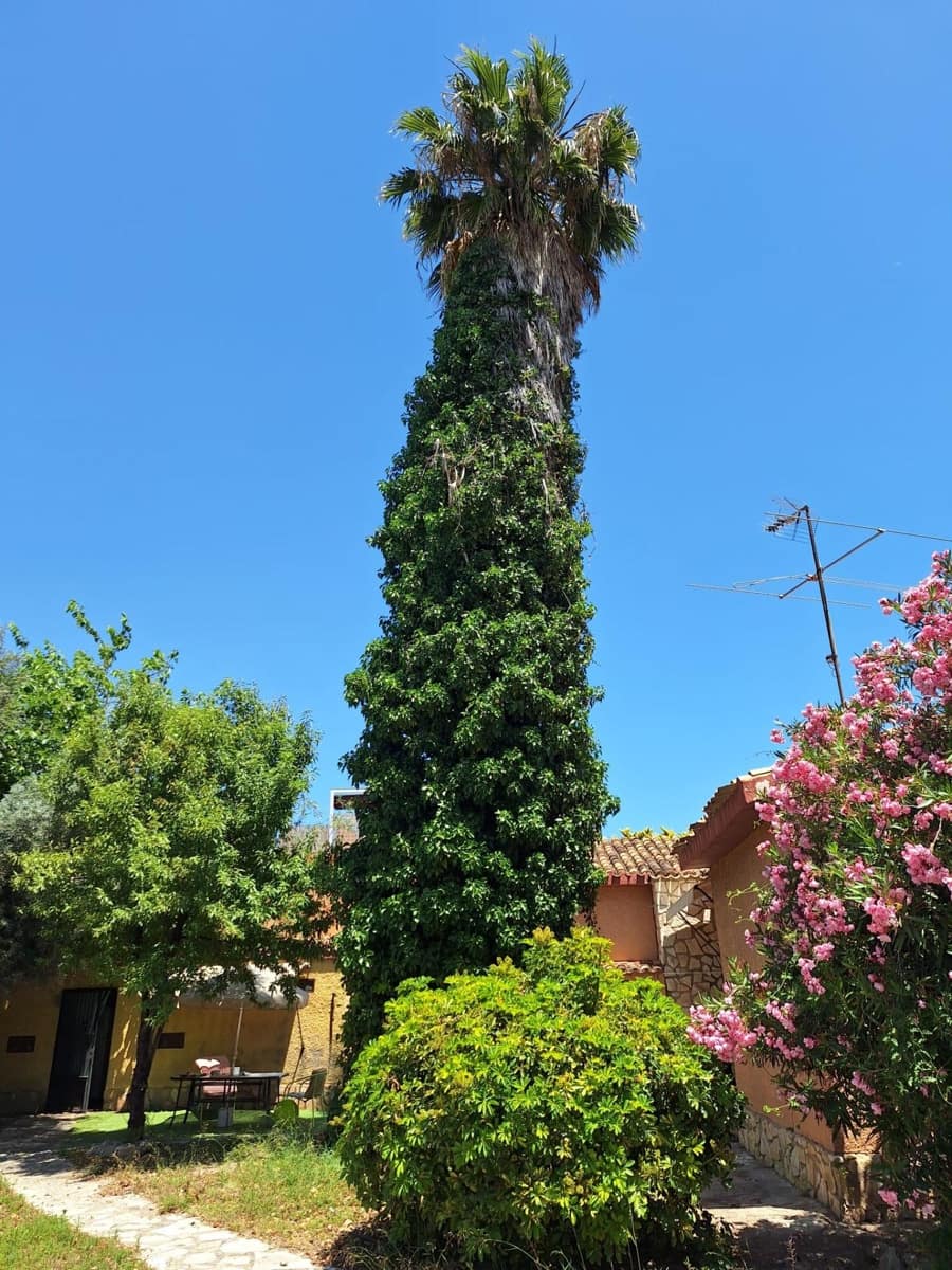 3 sypialnia Willa na sprzedaż w Miasto Alicante / Alacant z garażem - 585 000 € (Ref: 9125192)