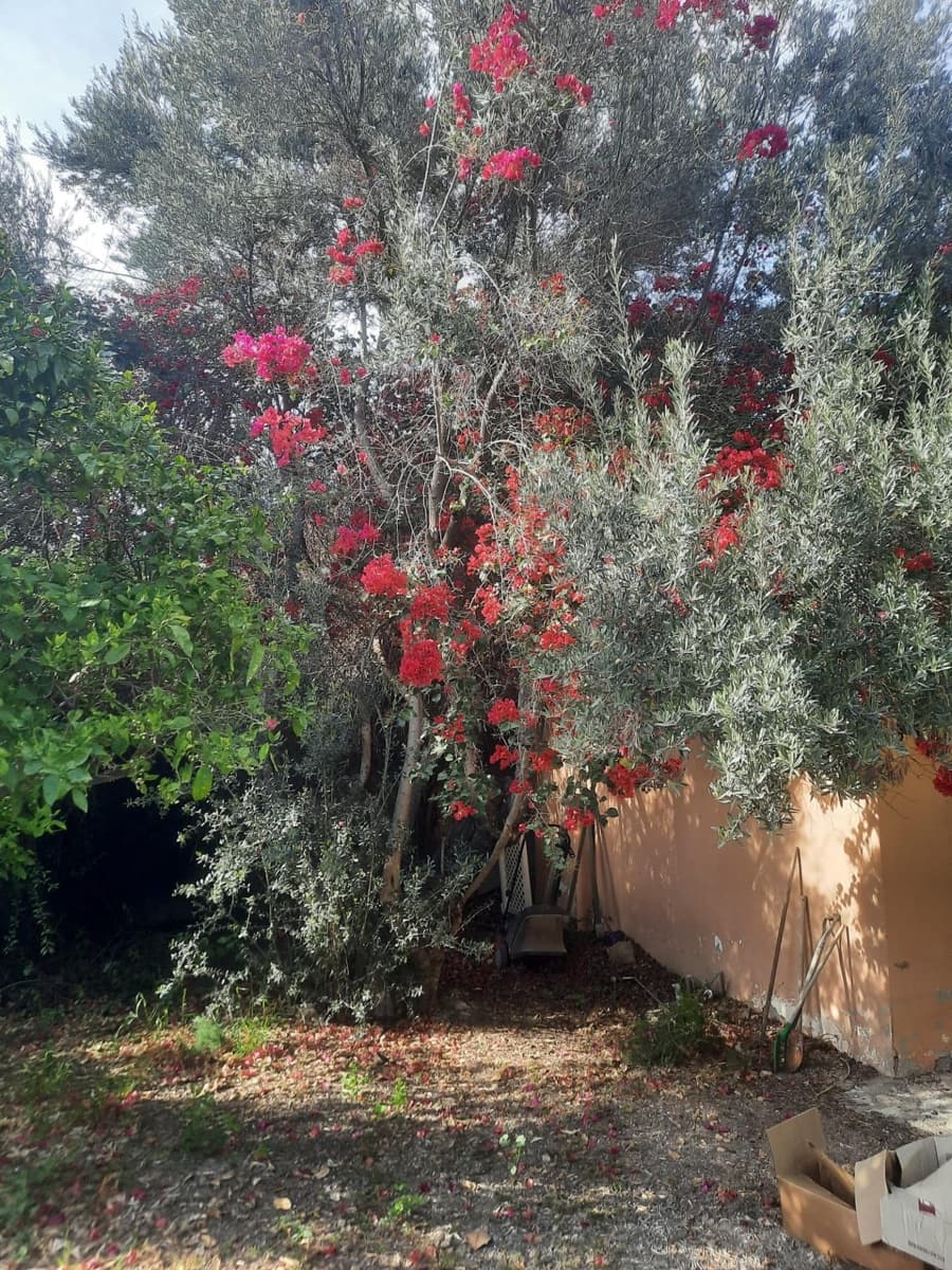 3 sypialnia Willa na sprzedaż w Miasto Alicante / Alacant z garażem - 585 000 € (Ref: 9125192)