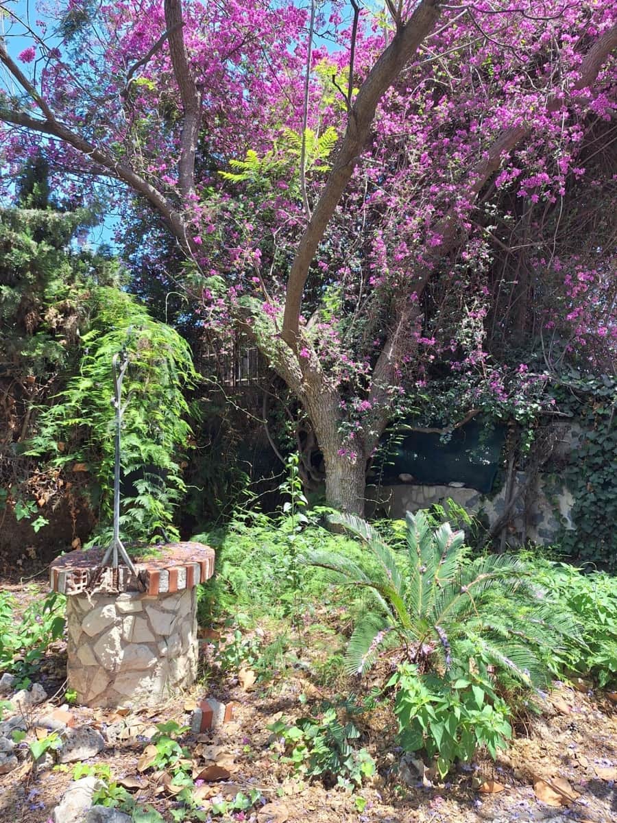 3 sypialnia Willa na sprzedaż w Miasto Alicante / Alacant z garażem - 585 000 € (Ref: 9125192)