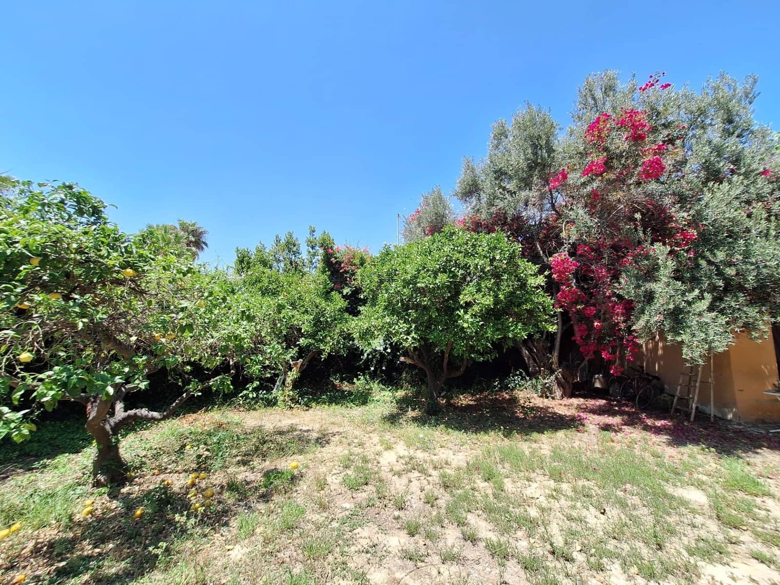 3 sypialnia Willa na sprzedaż w Miasto Alicante / Alacant z garażem - 585 000 € (Ref: 9125192)