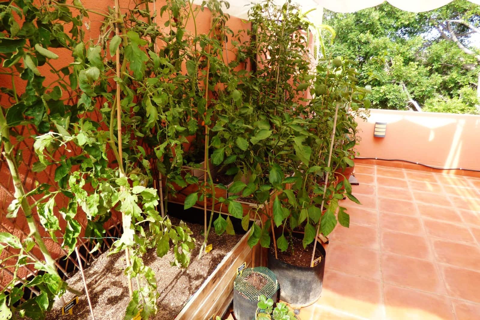 4 soveværelse Rækkehus til salg i Alicante by med swimmingpool garage - € 699.000 (Ref: 9170811)