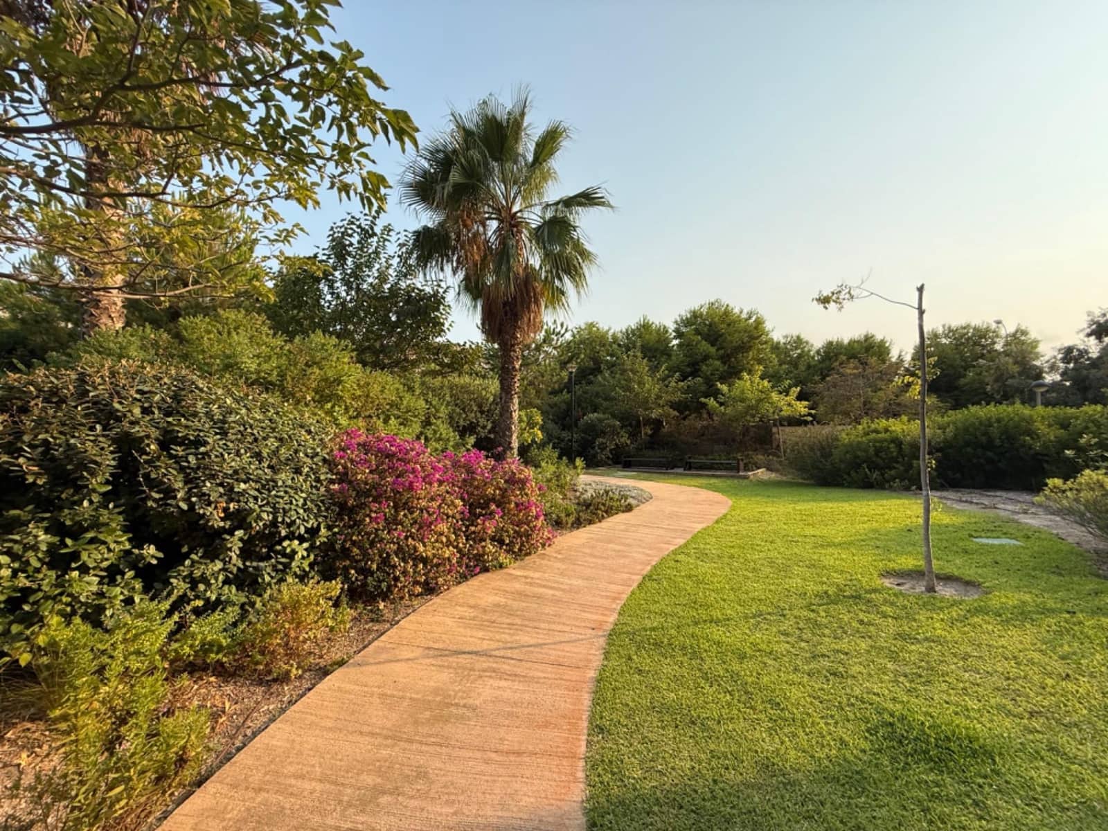 3 soveværelse Lejlighed til leje i Alicante by med swimmingpool - € 2.100 (Ref: 9215178)