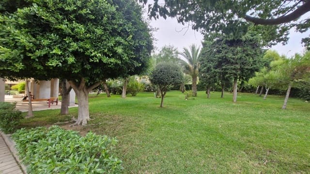 4 soveværelse Lejlighed til salg i Babel, Alicante by - € 250.000 (Ref: 9310987)