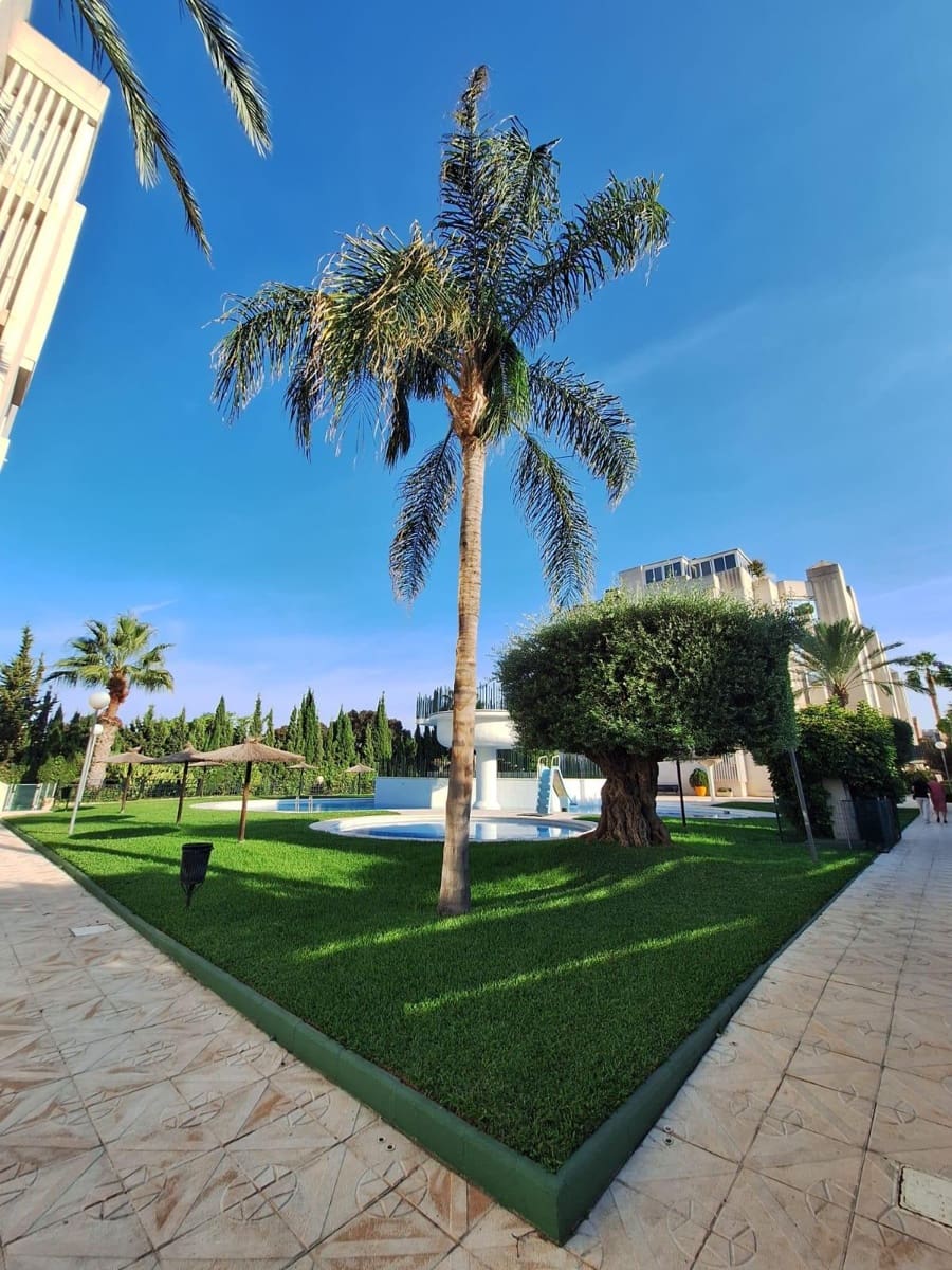 Piso de 3 habitaciones en Playa de San Juan en alquiler con piscina garaje - 1.800 € (Ref: 9403498)