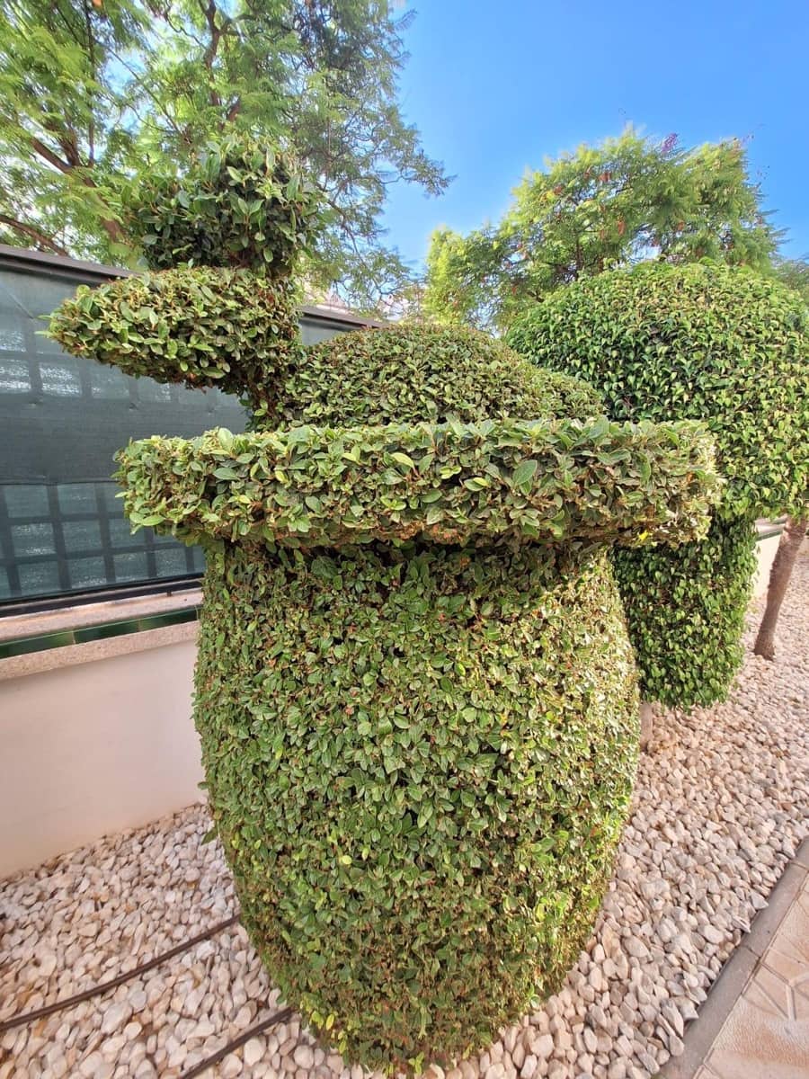 Piso de 3 habitaciones en Playa de San Juan en alquiler con piscina garaje - 1.800 € (Ref: 9403498)