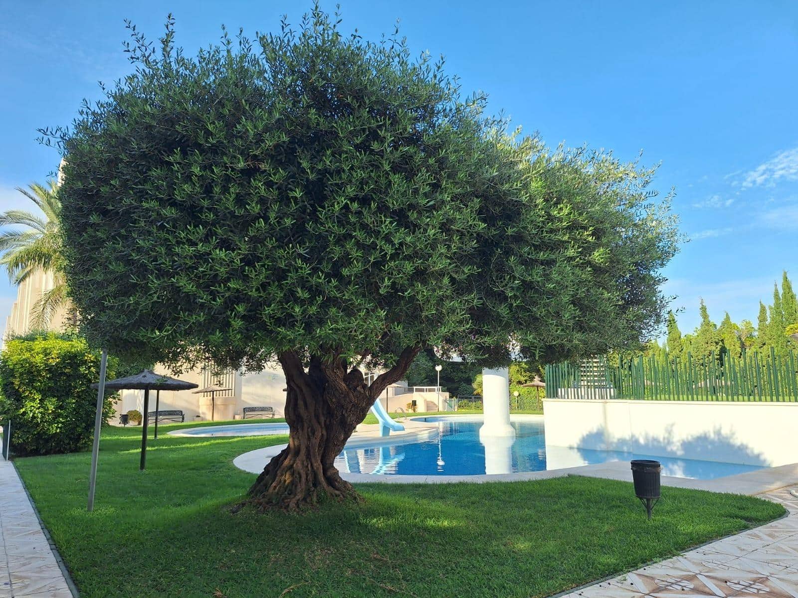 Piso de 3 habitaciones en Playa de San Juan en alquiler con piscina garaje - 1.800 € (Ref: 9403498)