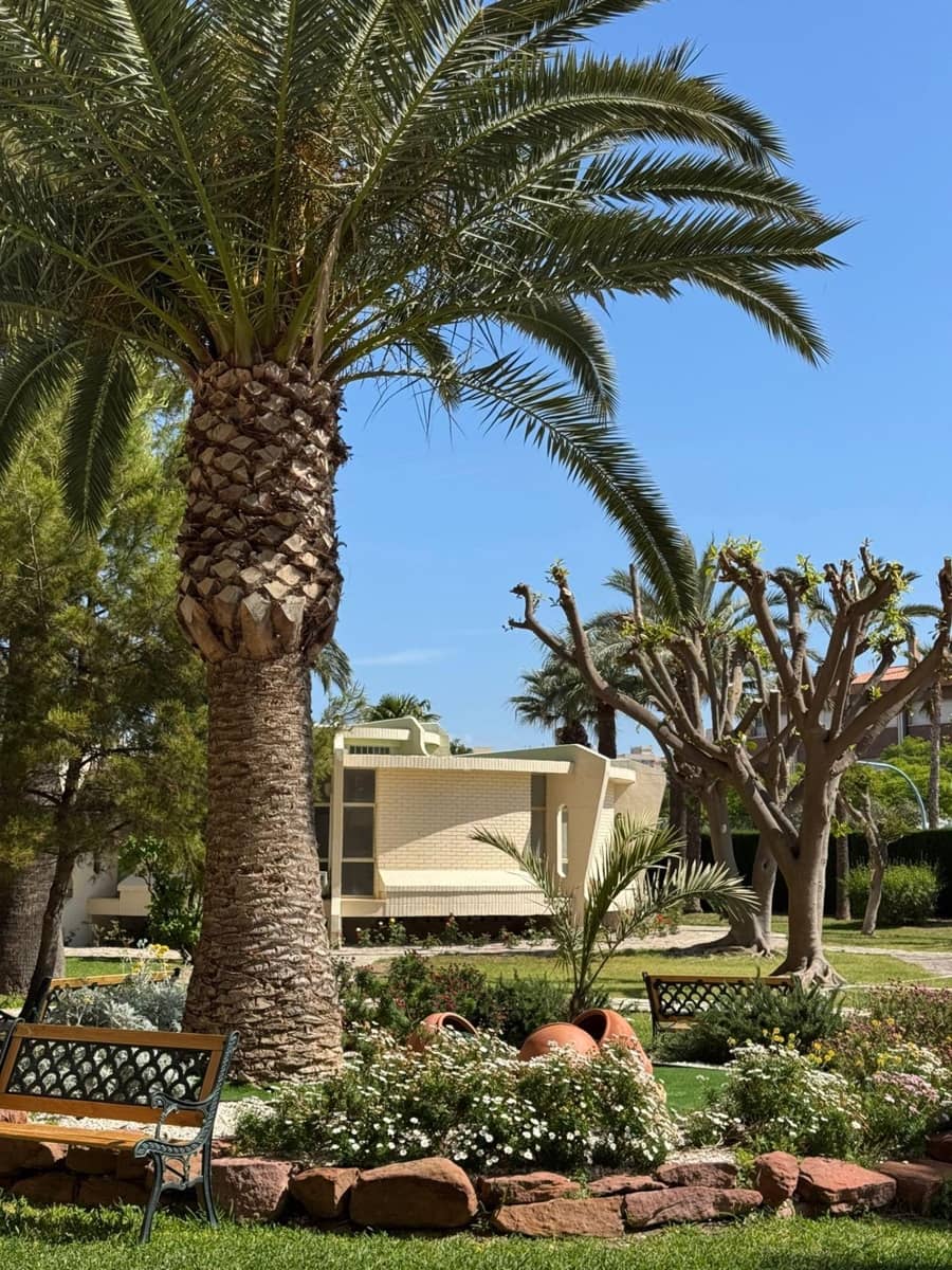 1 makuuhuone Asunto vuokrattavana paikassa San Juan de Alicante / Sant Joan d'Alacant mukana uima-altaan - 1 950 € (Ref: 9471219)