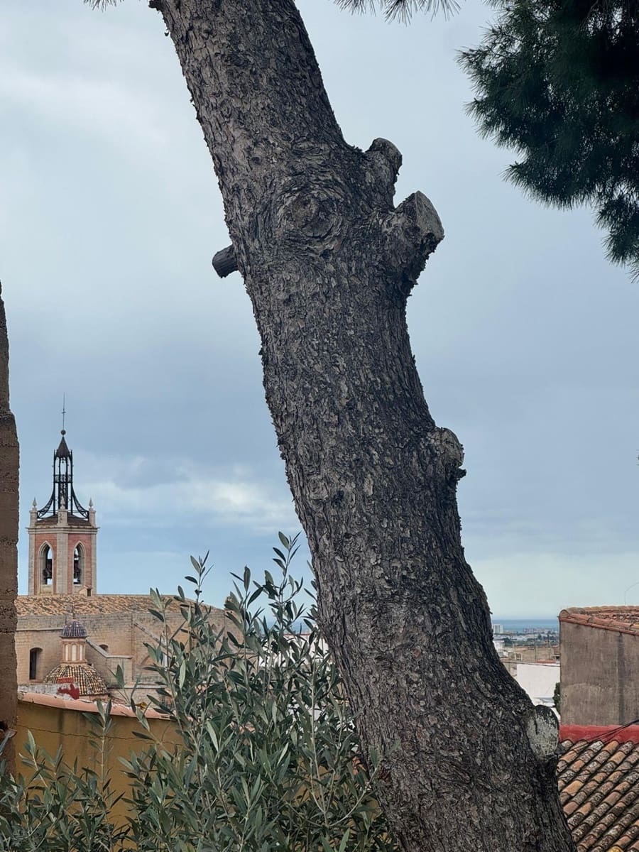 Adosado de 3 habitaciones en Sagunto / Sagunt en venta - 250.000 € (Ref: 9576716)