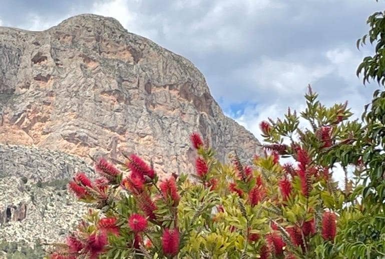 3 bedroom Villa for sale in Polop with pool - € 540,000 (Ref: 9619416)