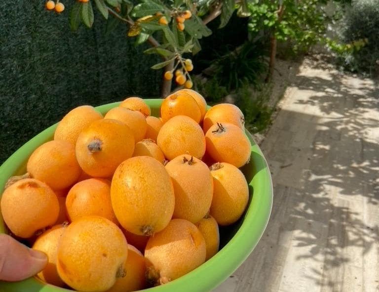 3 bedroom Villa for sale in Polop with pool - € 540,000 (Ref: 9619416)