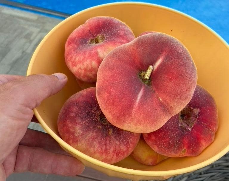 3 bedroom Villa for sale in Polop with pool - € 540,000 (Ref: 9619416)