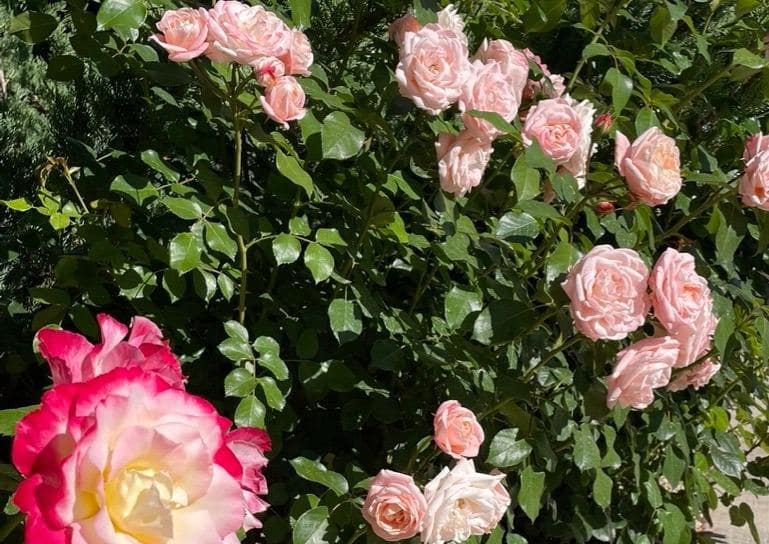 3 bedroom Villa for sale in Polop with pool - € 540,000 (Ref: 9619416)