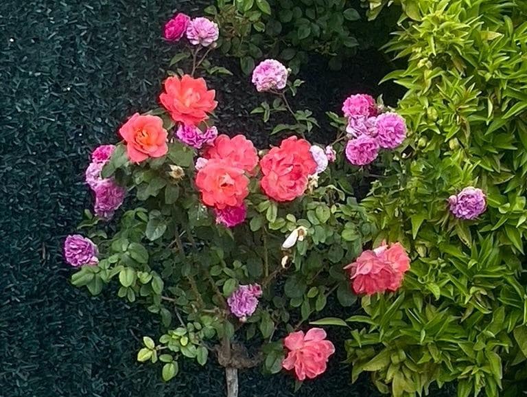 3 bedroom Villa for sale in Polop with pool - € 540,000 (Ref: 9619416)