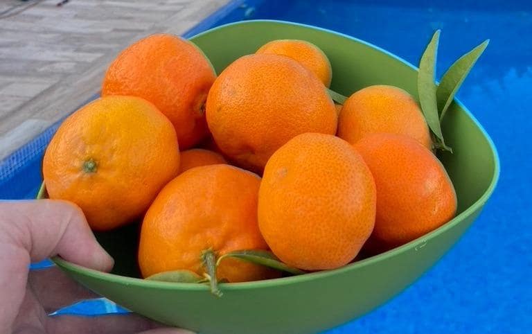 3 soveværelse Villa til salg i Polop med swimmingpool - € 540.000 (Ref: 9619416)