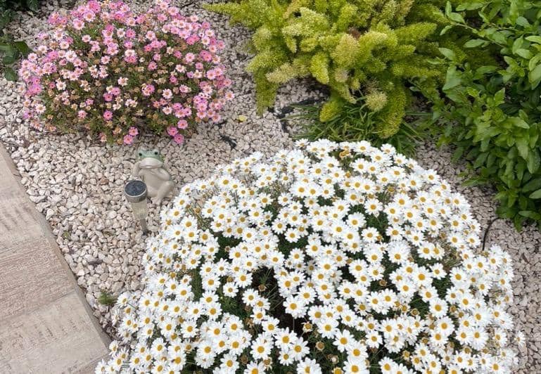 3 soveværelse Villa til salg i Polop med swimmingpool - € 540.000 (Ref: 9619416)