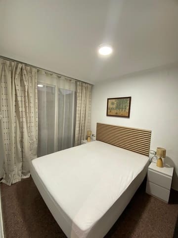 Estudio de 1 habitación en San Gabriel, Alicante / Alacant ciudad en alquiler - 600 € (Ref: 9634408)