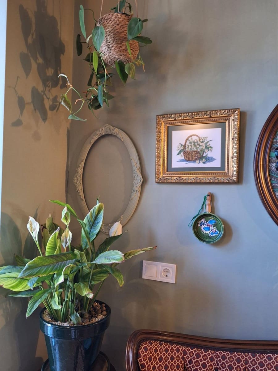 Kommersiell till salu i Alicante stad - 95 000 € (Ref: 9648274)