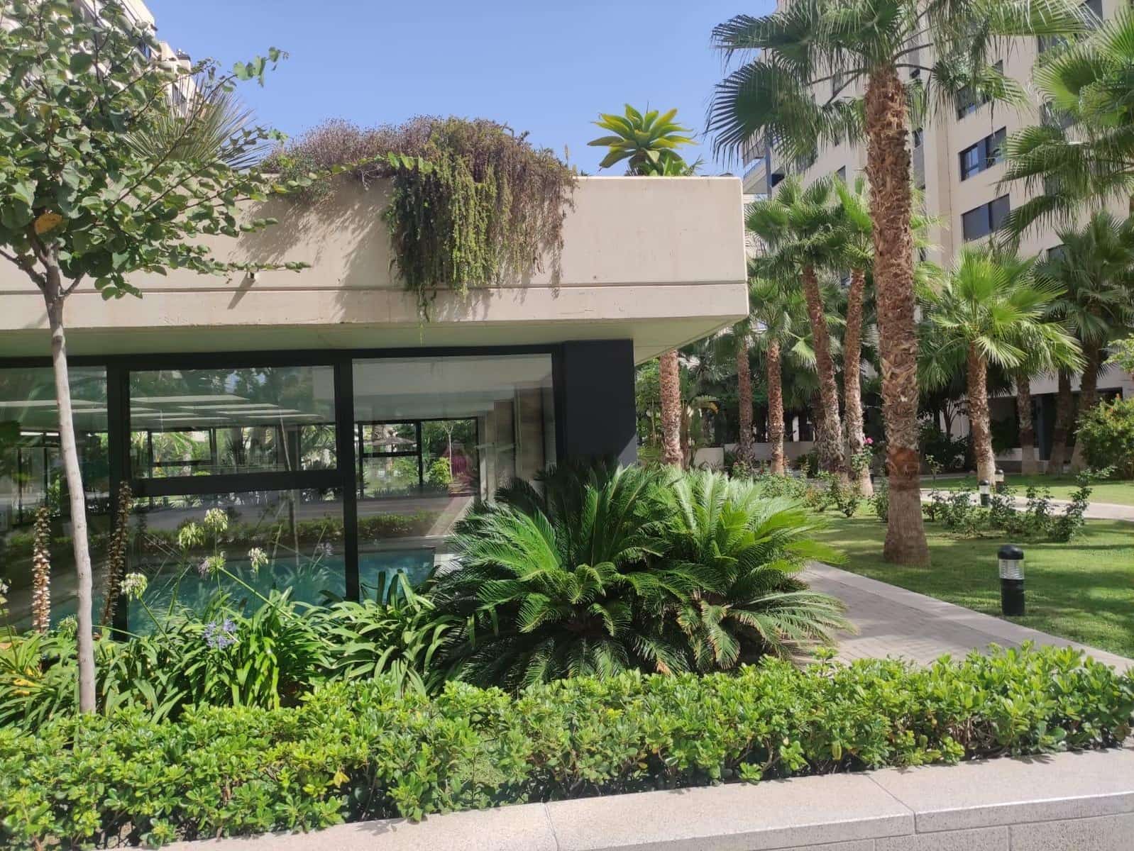 2 camera da letto Appartamento da affittare in Playa de San Juan con piscina garage - 1.500 € (Rif: 9656197)