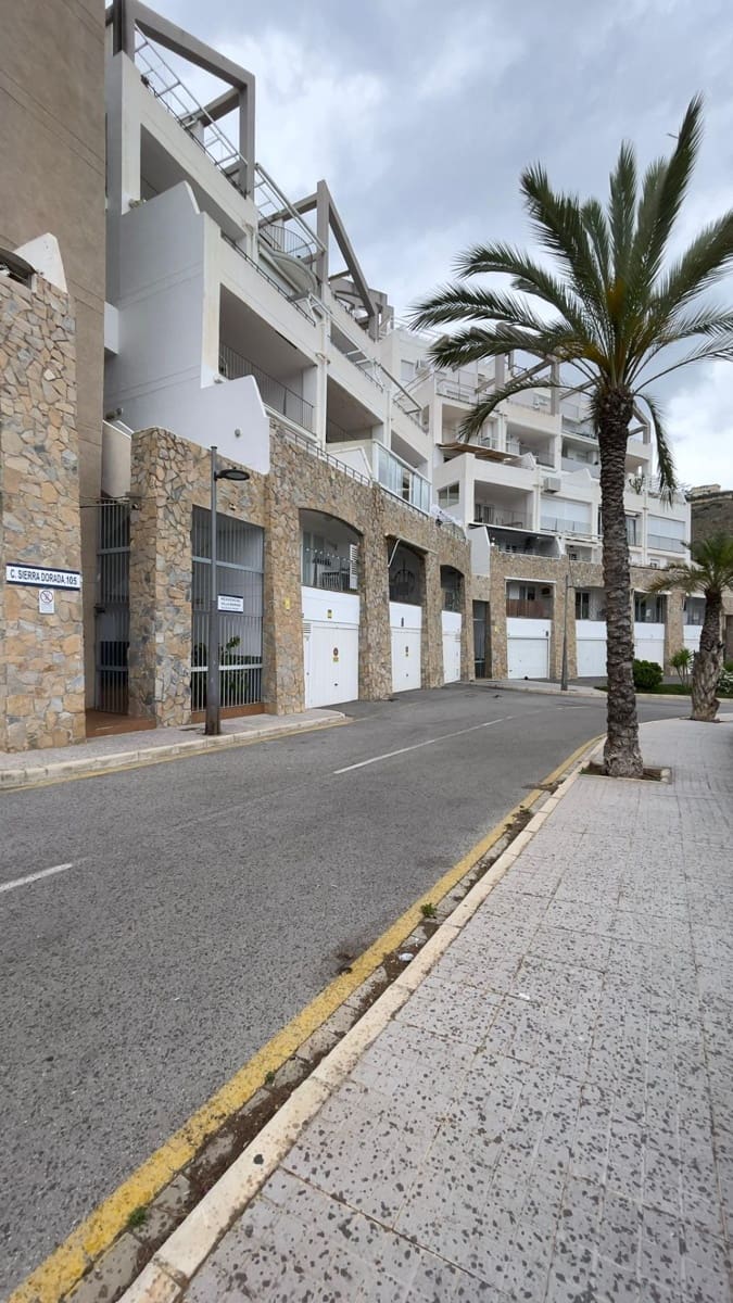 2 bedroom Apartment for rent in Benidorm with pool garage - € 1,200 (Ref: 9839364)