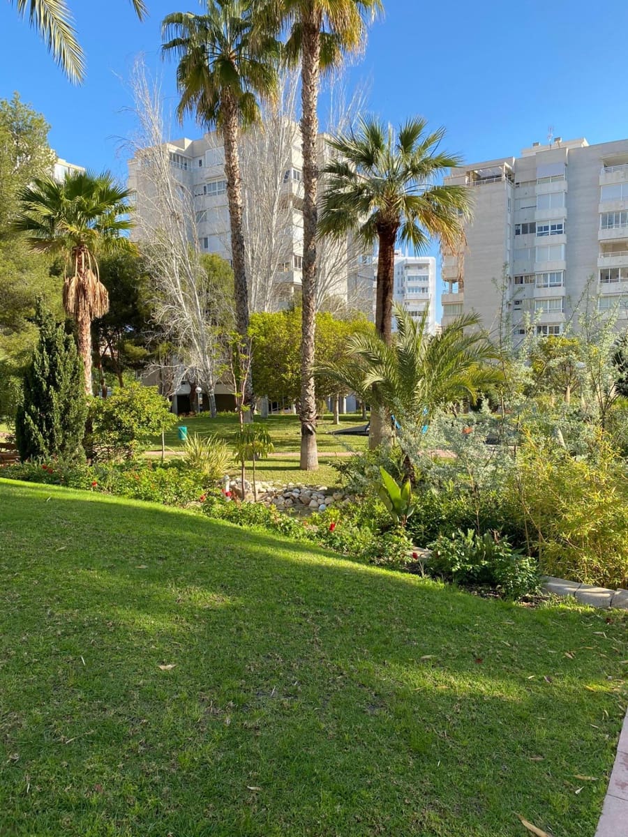 3 bedroom Flat for rent in Playa de San Juan with pool garage - € 1,450 (Ref: 9970724)