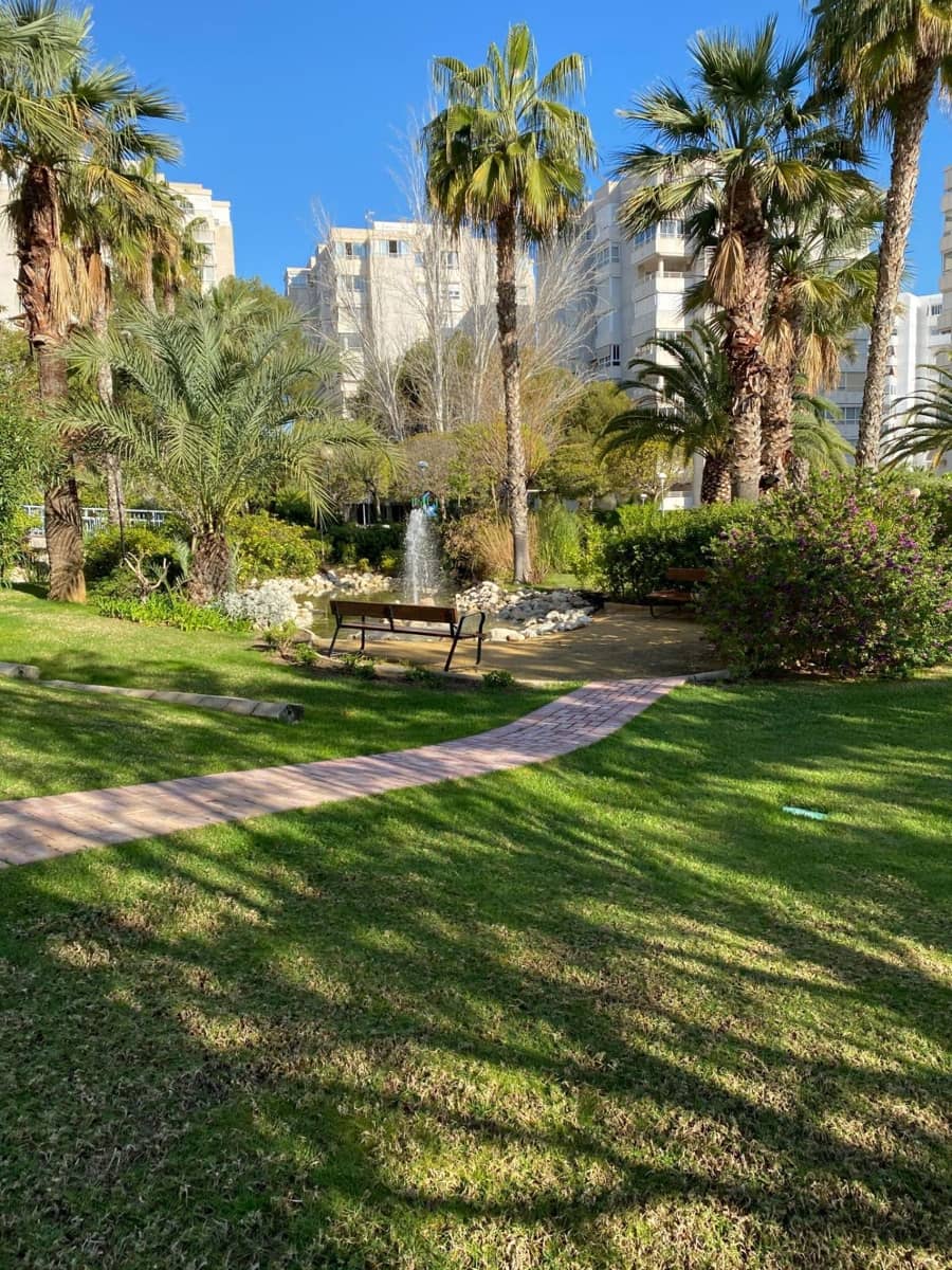 3 bedroom Flat for rent in Playa de San Juan with pool garage - € 1,450 (Ref: 9970724)