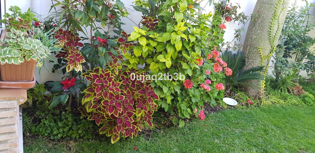 5 soverom Villa til salgs i Estepona med svømmebasseng garasje - € 1 200 000 (Ref: 6452035)