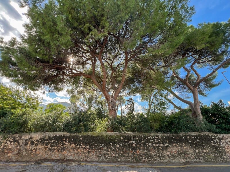 2 sypialnia Bungalow na sprzedaż w Denia z basenem - 315 000 € (Ref: 10174536)