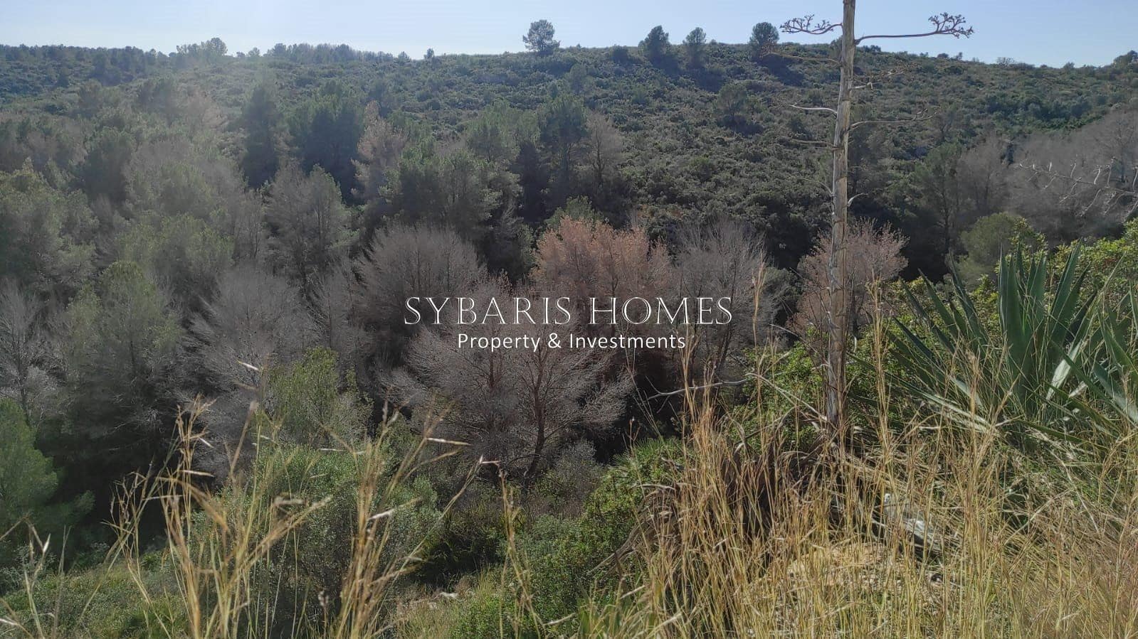 Area Edificabile in vendita in Gata de Gorgos - 896.000 € (Rif: 10183825)