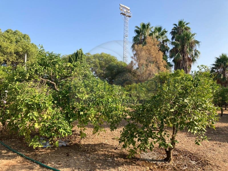 Tomt till salu i Denia - 763 000 € (Ref: 7046027)