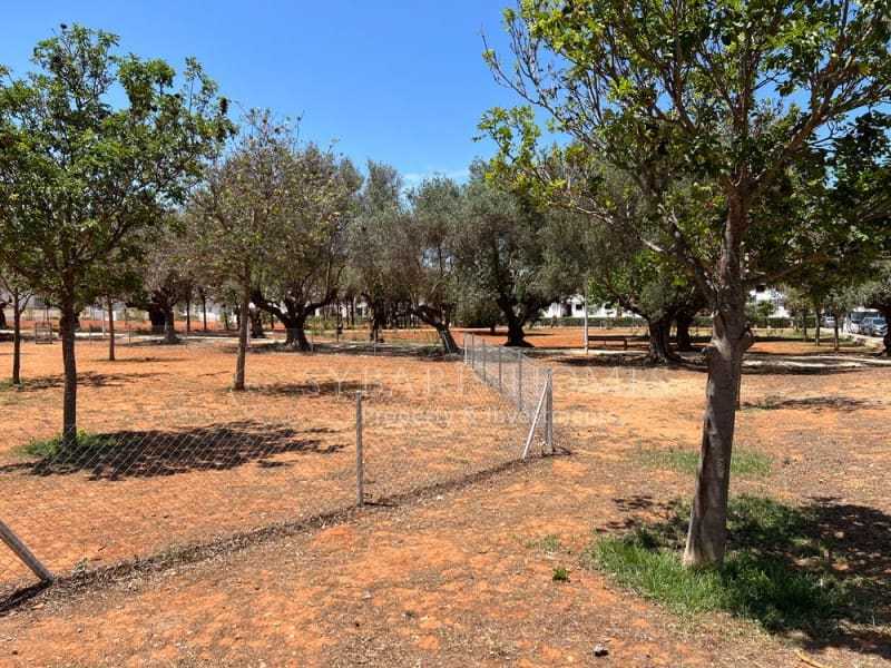 3 slaapkamer Penthouse voor vakantieverhuur in Denia met zwembad garage - € 1.250 (Ref: 8322842)