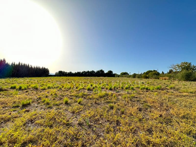 5 soverom Villa til salgs i Els Poblets med svømmebasseng garasje - € 850 000 (Ref: 8457275)