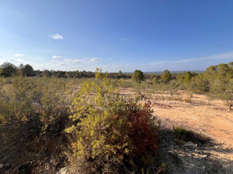 Grunde uden byggetilladelser til salg i Chella - € 100.000 (Ref: 8519273)