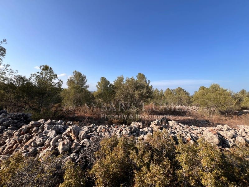 Grunde uden byggetilladelser til salg i Chella - € 100.000 (Ref: 8519273)