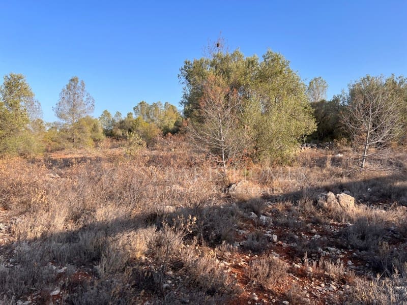 Grunde uden byggetilladelser til salg i Chella - € 100.000 (Ref: 8519273)