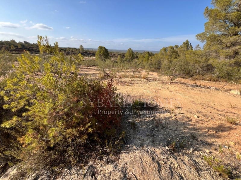 Grunde uden byggetilladelser til salg i Chella - € 100.000 (Ref: 8519273)