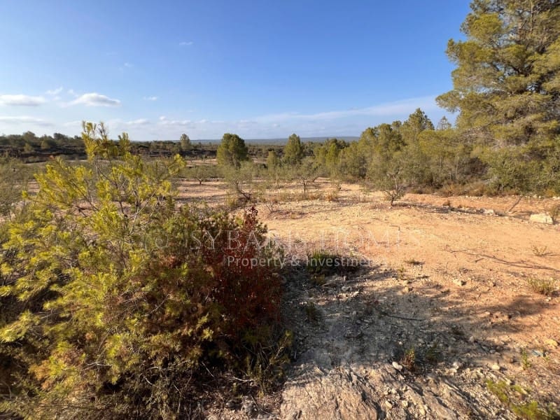 Grunde uden byggetilladelser til salg i Chella - € 100.000 (Ref: 8519273)