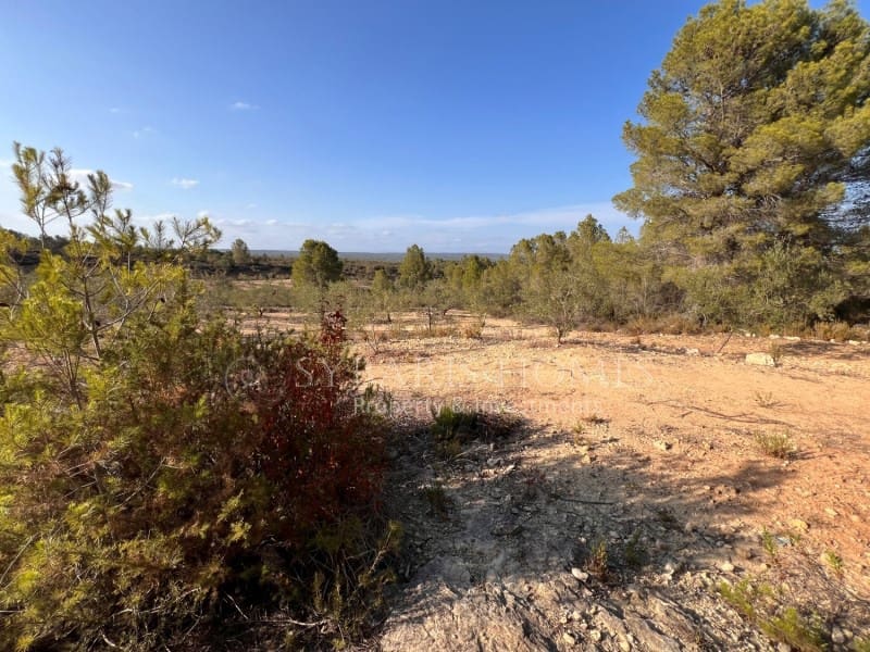 Grunde uden byggetilladelser til salg i Chella - € 100.000 (Ref: 8519273)