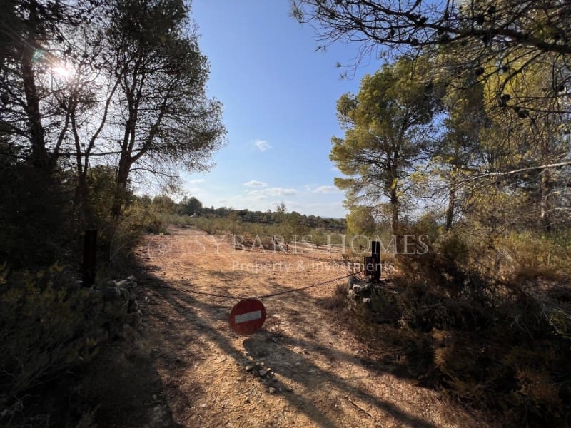 Grunde uden byggetilladelser til salg i Chella - € 100.000 (Ref: 8519273)