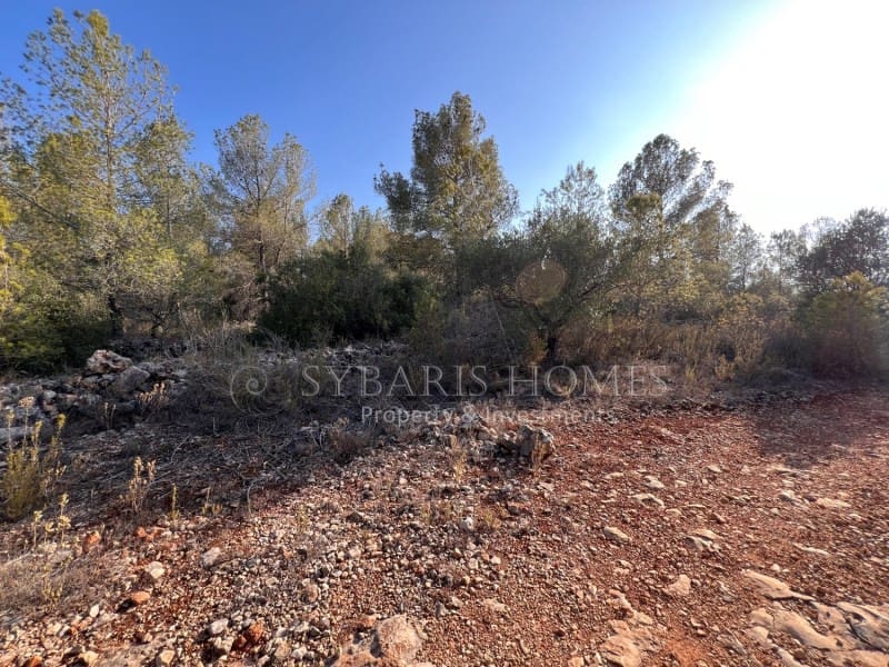 Grunde uden byggetilladelser til salg i Chella - € 100.000 (Ref: 8519273)