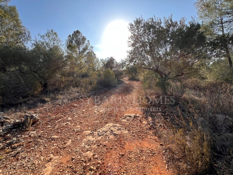 Grunde uden byggetilladelser til salg i Chella - € 100.000 (Ref: 8519273)