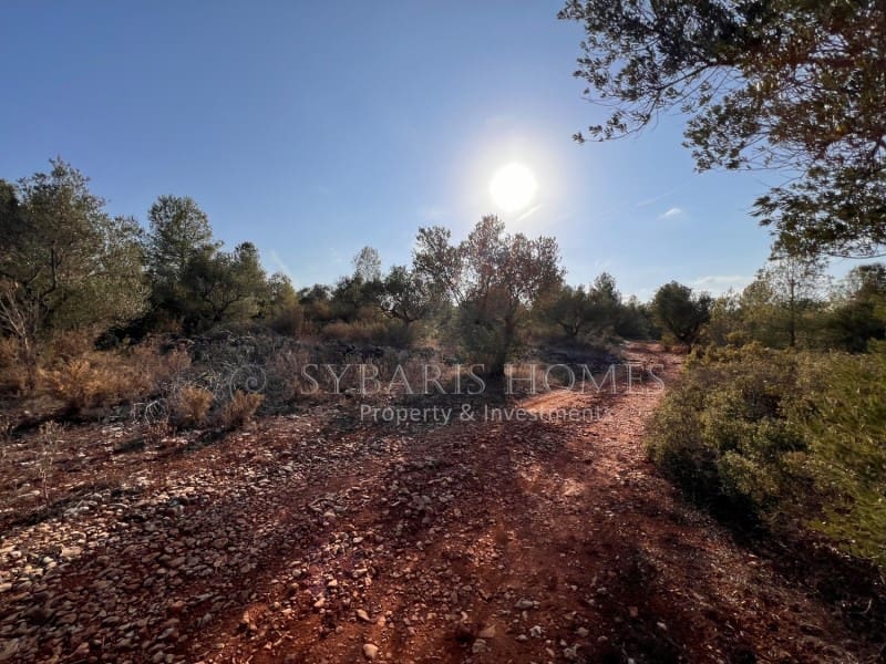 Grunde uden byggetilladelser til salg i Chella - € 100.000 (Ref: 8519273)