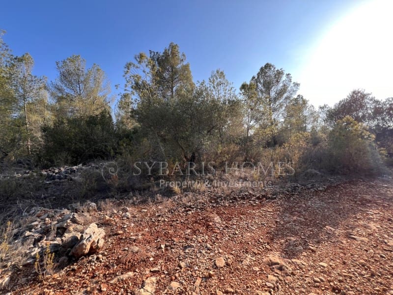 Grunde uden byggetilladelser til salg i Chella - € 100.000 (Ref: 8519273)