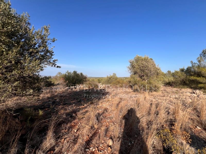 Grunde uden byggetilladelser til salg i Chella - € 100.000 (Ref: 8519273)