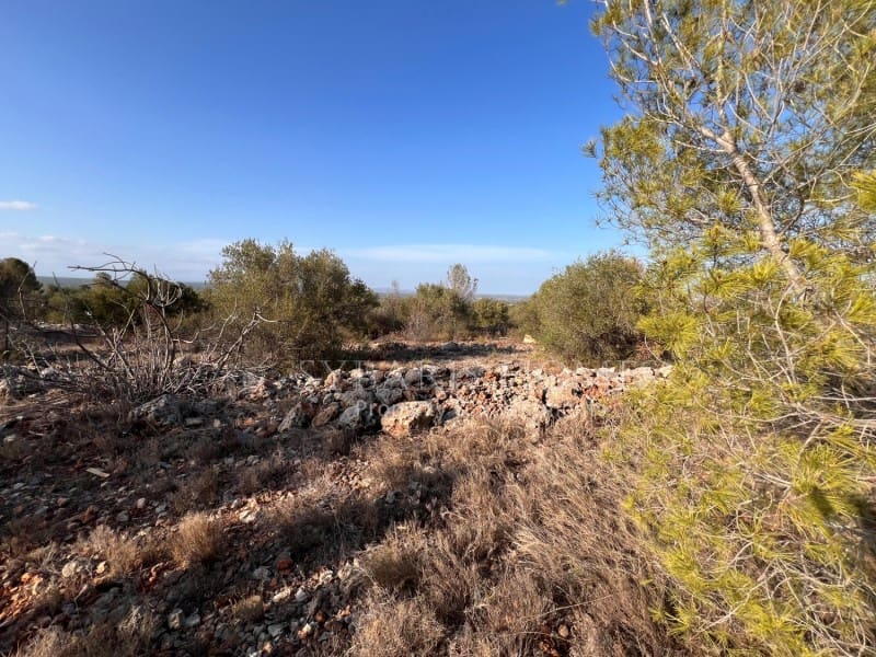 Grunde uden byggetilladelser til salg i Chella - € 100.000 (Ref: 8519273)