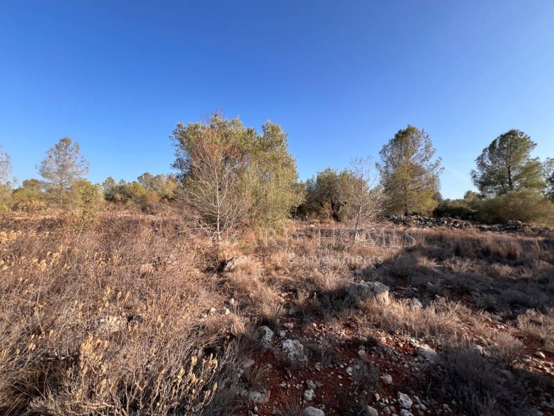 Grunde uden byggetilladelser til salg i Chella - € 100.000 (Ref: 8519273)