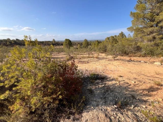 Grond te koop in Chella - € 100.000 (Ref: 8519273)