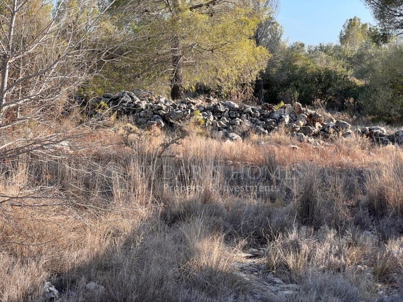 Grunde uden byggetilladelser til salg i Chella - € 100.000 (Ref: 8519273)