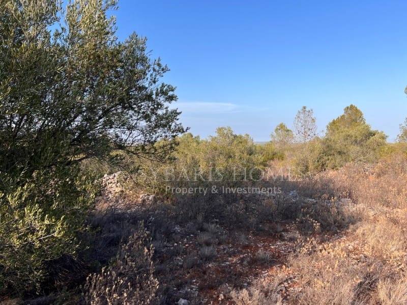 Grunde uden byggetilladelser til salg i Chella - € 100.000 (Ref: 8519273)